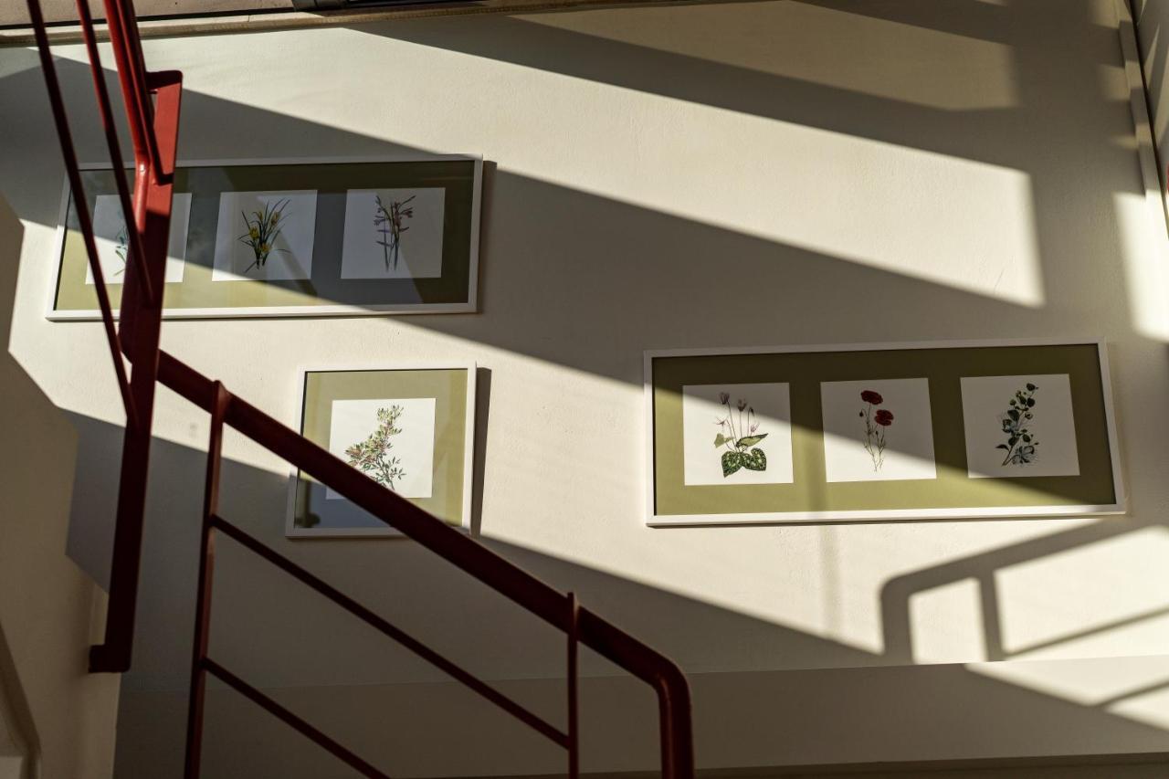 Anemi Apartments Nauplion Zewnętrze zdjęcie